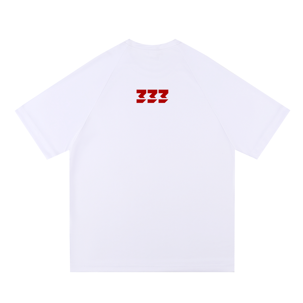 Raglan Sleeve Mesh T-Shirt