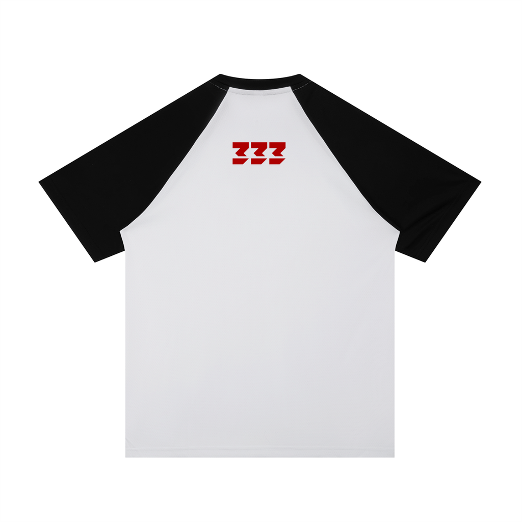 Contrast Raglan Sleeve Mesh T-Shirt