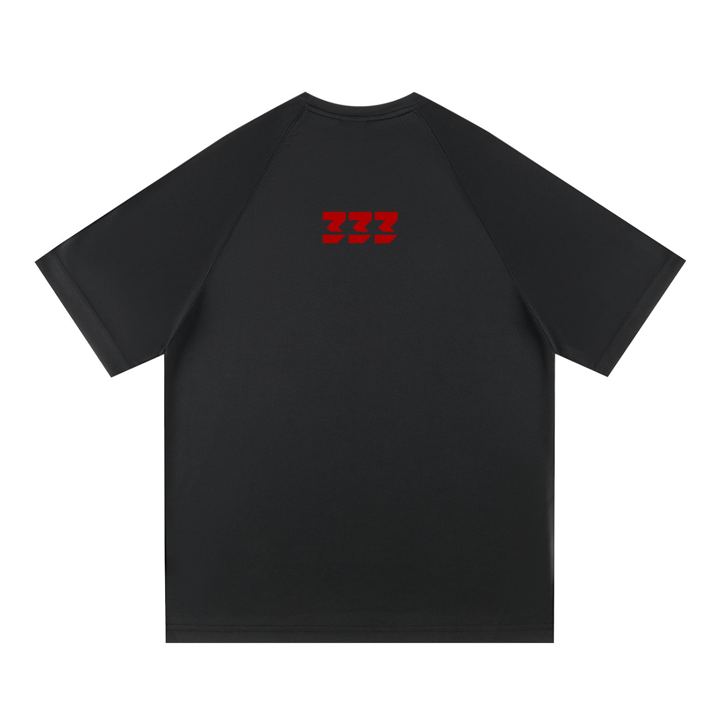 Raglan Sleeve Mesh T-Shirt