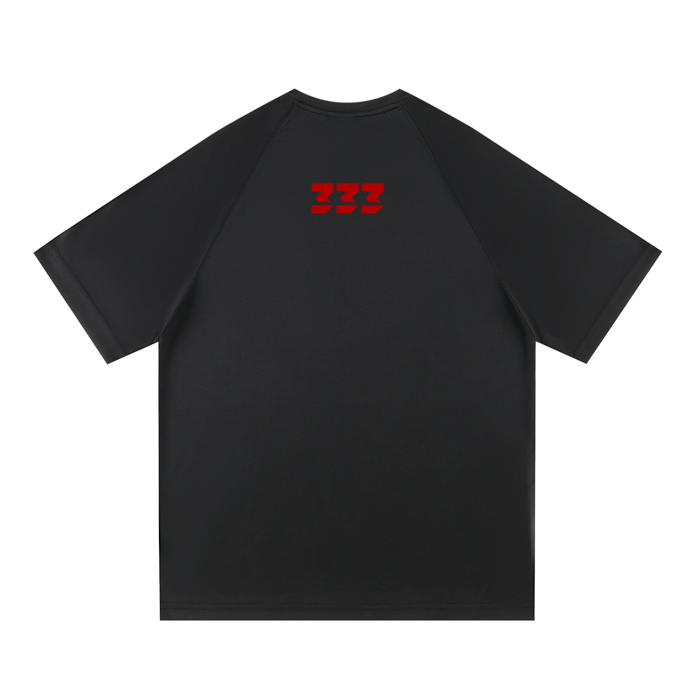 Raglan Sleeve Mesh T-Shirt