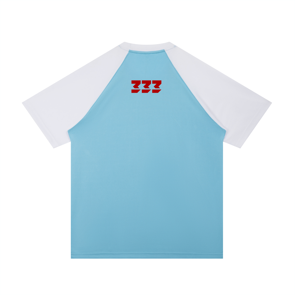 Contrast Raglan Sleeve Mesh T-Shirt
