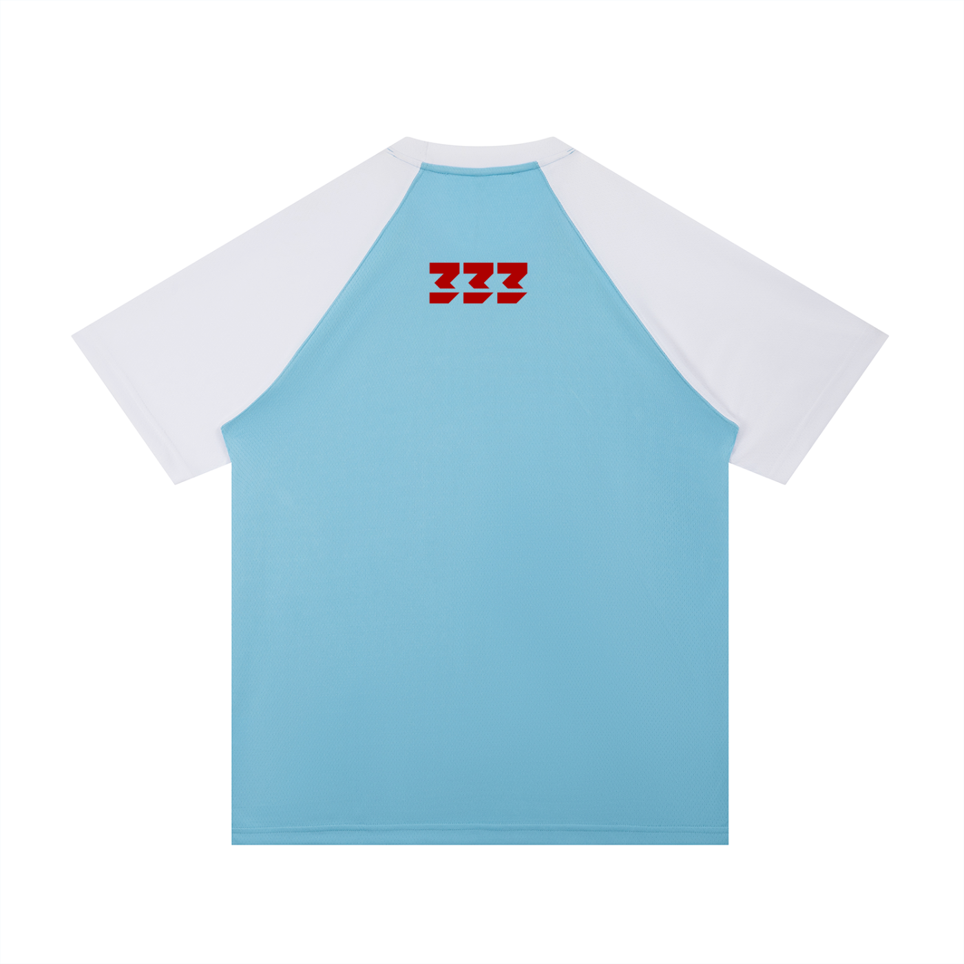 Contrast Raglan Sleeve Mesh T-Shirt